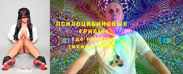 гашик Алексеевка