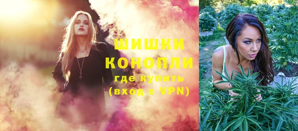 ПСИЛОЦИБИНОВЫЕ ГРИБЫ Абаза