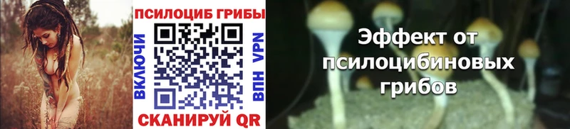 Галлюциногенные грибы Magic Shrooms  Усть-Лабинск 